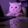 CROWNIE emote