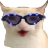 CatChest emote