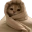 catCozy