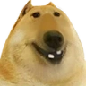 doge3Head emote
