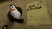 VsemPohuy emote