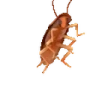 blip emote