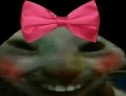 xddcute emote