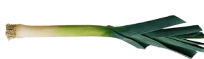 LEAK emote