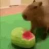 brb emote