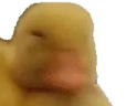 SMH emote