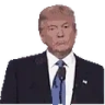 WRONG emote