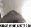 chat emote
