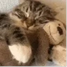 CatHug emote