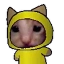 Wiggle