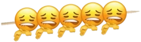 SheeshKebab emote