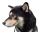 WHERE