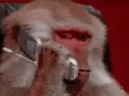 Alo emote