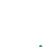 borpaRiotArrive emote