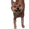 DogDance emote