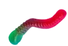 theyWorm emote