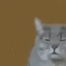 a emote