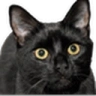 roberta emote