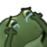 FrogeNOOOO emote