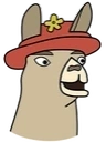 llamaPaul