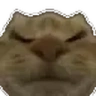 Sleepin emote