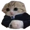 Baseg emote