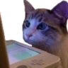 WatchingStream emote
