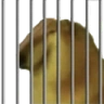 HornyJail emote