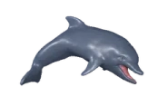 Jordan emote