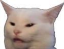 confusedCat emote