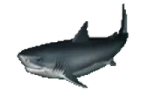 Christopher emote