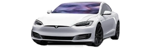 PussyWagon emote