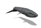 david emote