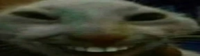 widexdd emote