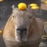 chill emote