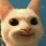 smile emote