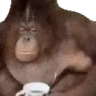monkeTeaTime emote