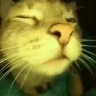 catRAVE emote