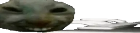 xddChatting emote