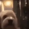 POGGERS emote