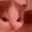 Emote