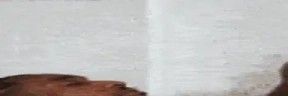 WideKissahomie emote
