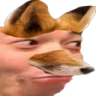 PawsChamp emote