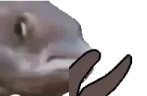 FishClap emote