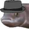 FishMLADY emote
