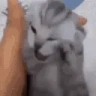 THEVOICES emote