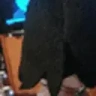 Dawg emote