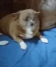 CALAABOCA emote