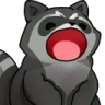 RaccYAP emote