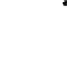 Racegers emote
